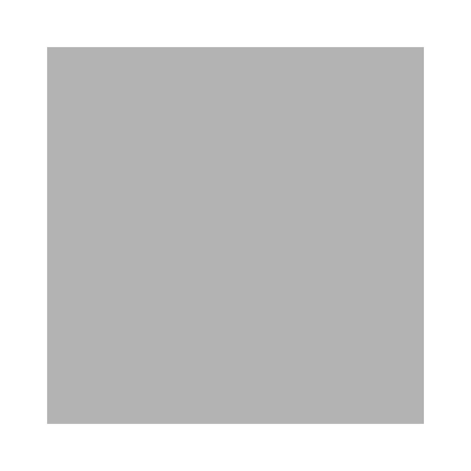 Rico Large Stamp Pad Silver